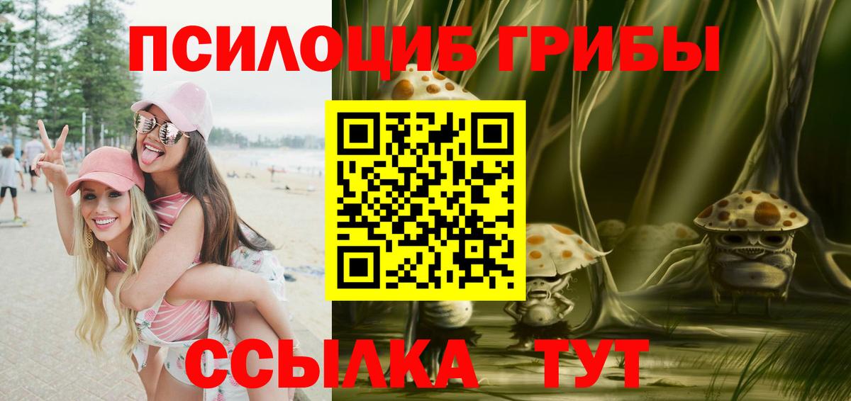 Алапаевск  Галлюциногенные грибы Psilocybine cubensis  Вход с VPN  закладка  Псилоцибиновые грибы мицелий 